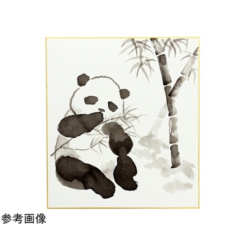 水墨画個人セット 色紙付 12745