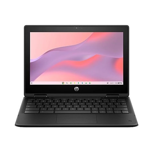 HPFortisFlipG1m11Chr