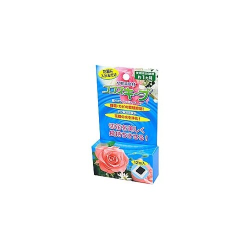 生け花イキイキ ココスキープ(12個入)