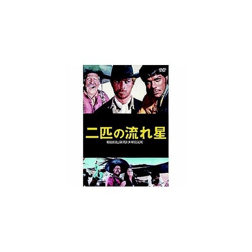 ゲイリー・ハドソン 二匹の流れ星 DVD