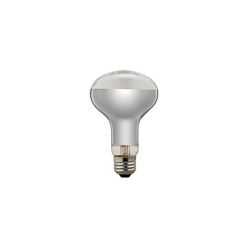 長寿命レフ電球 RF100110V90W