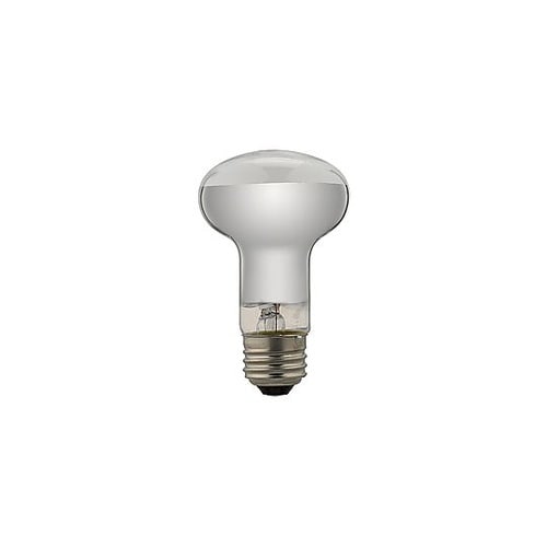 長寿命レフ電球 RF100110V38W