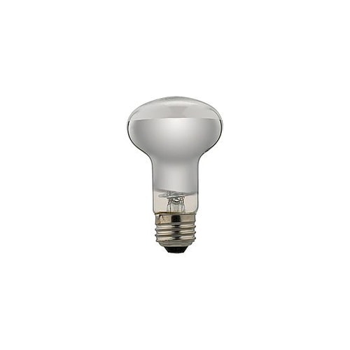 長寿命レフ電球 RF100110V57W