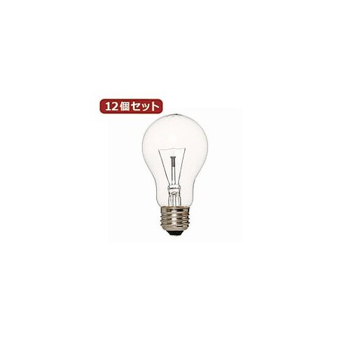 12個セット 長寿命クリア100W形 L