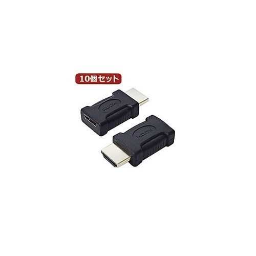 変換プラグ HDMI(オス)→miniH