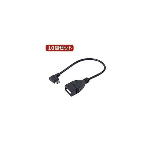 USBmicro HOST L型ケーブル