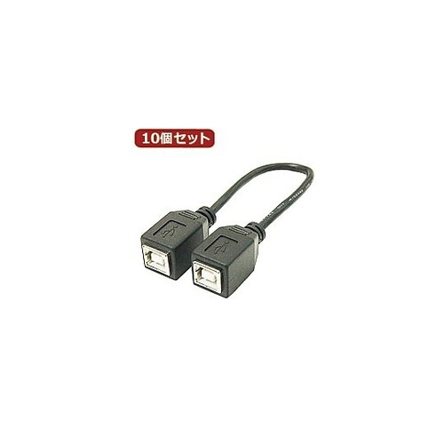 USBケーブル20cm B(メス)to