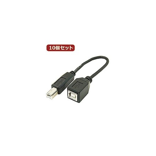 USBケーブル20cm B(オス)to
