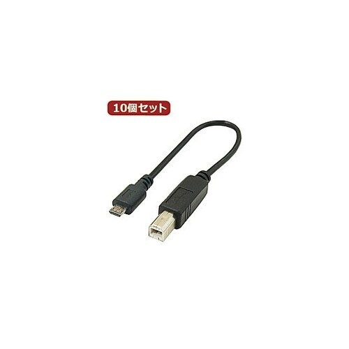 USBケーブル20cm B(オス)to