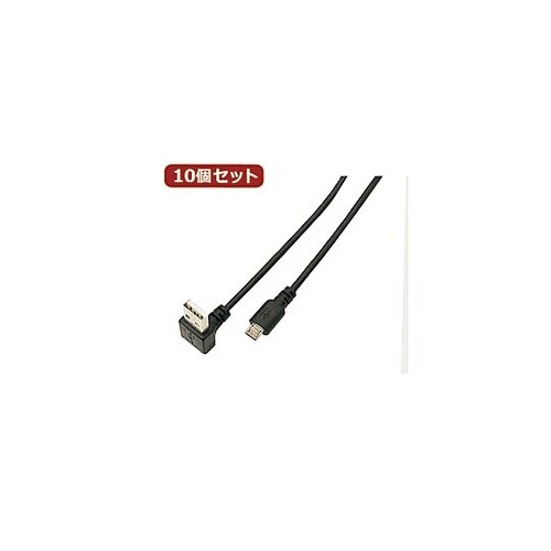 USB A(下L)→micro100cm