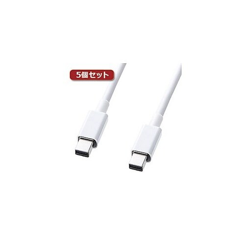5個セット ミニDisplayPortケ