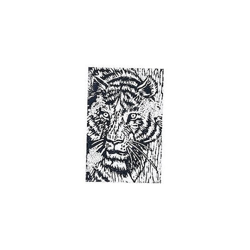 朴版木 C 4倍判(300x200x10