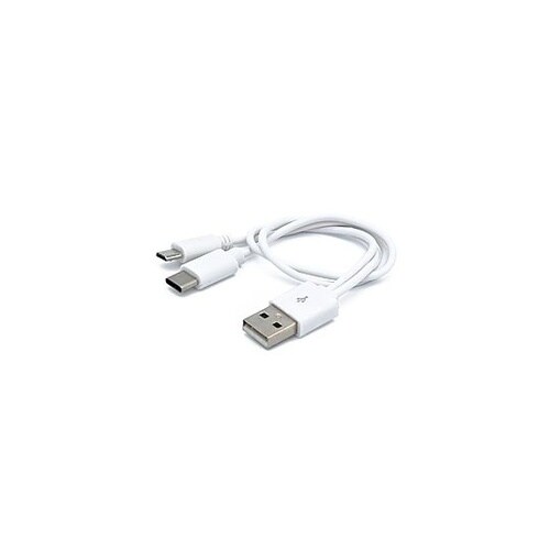 microUSB&TypeC 2台同時充