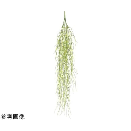ウオーターグラスバイン 2356A25