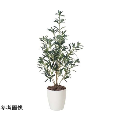 オリーブ 90 378P130