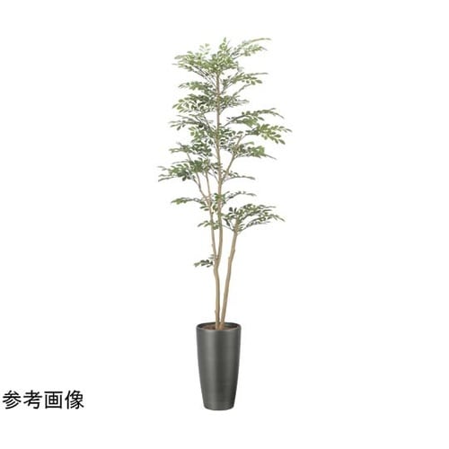 スリムトネリコ 1.8 2509A400