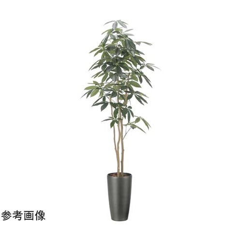 スリムパキラ 1.8 2508A360