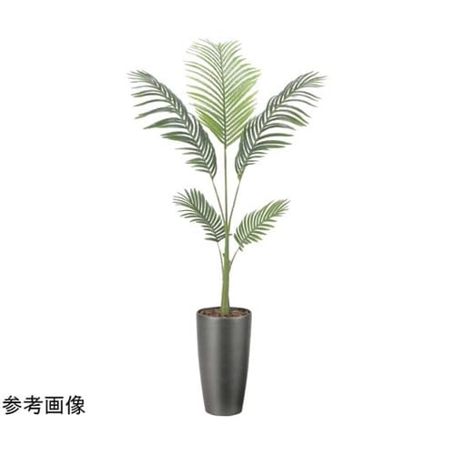 スリムフレッシュパーム 1.55 253