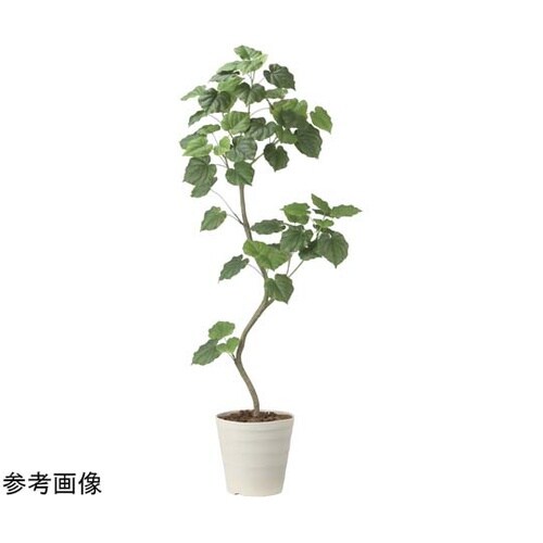ツイストウンベラータ 1.9(組立式)