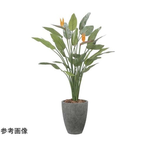 ナチュラルストレチア花付 1.7 252