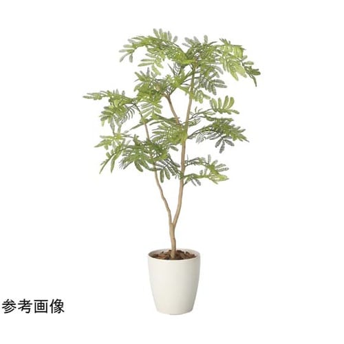 ネムノ木 90(ポリ製) 2428A15