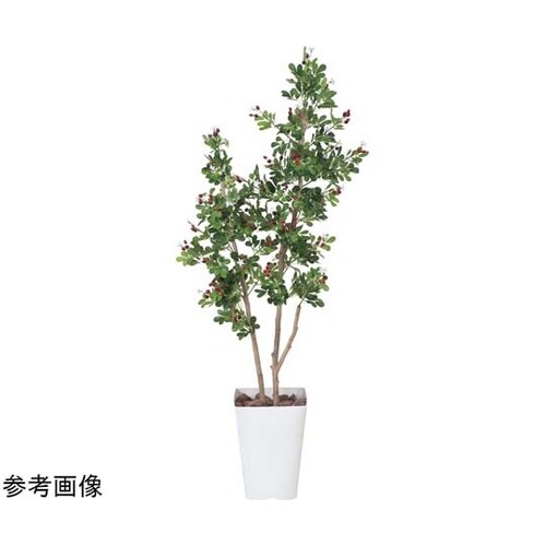 ハックルベリー 1.25 366C220