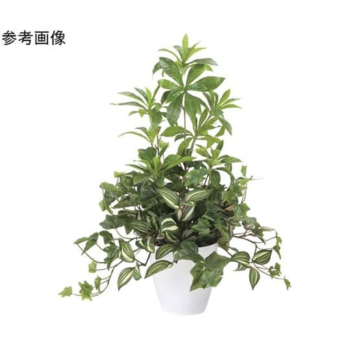 ミックスフレッシュアセビ 2612A10