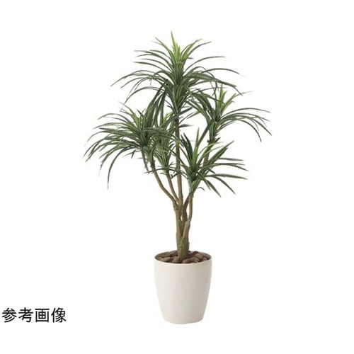 ユッカ 90 622A140