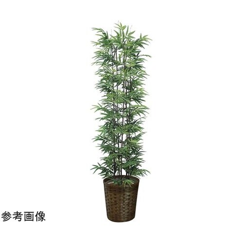 黒竹 1.8(幹:天然黒竹) 775A4