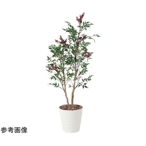 南天 1.3 405B200