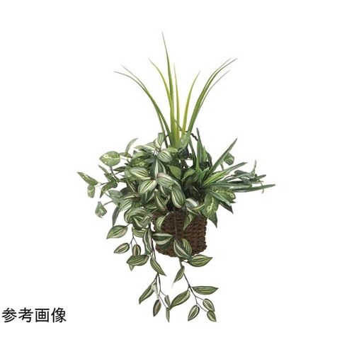 壁掛ケナチュラルグラス 281P80