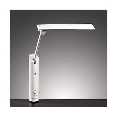 AC100V/4W 照明灯/LED(クラ