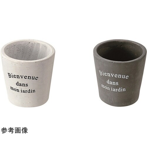 セメント鉢(フランス語)1箱(6個入)