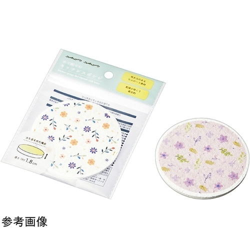 水で膨らむキッチンスポンジ 1箱(10個