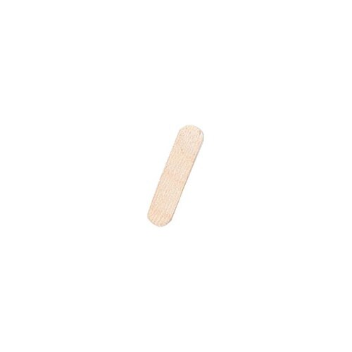 【10個セット】 スティック工芸 A 4