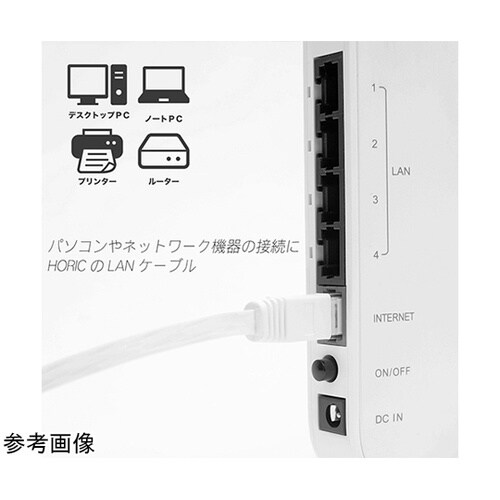 【10本セット】 ホーリック LANケー