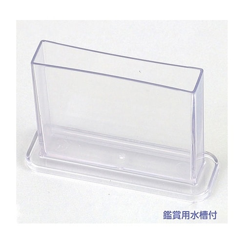 【5個セット】 育てて観察!エビもどき