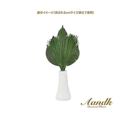 プレミアム荒神松 丹波産高級椿葉使用 S