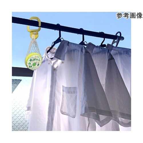 さよならカメちゃん 掛けタイプ 気になる