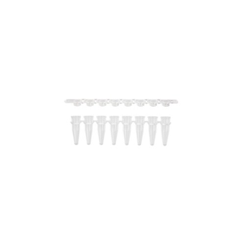 PCR8連チューブ0.2mL 透明 フラ