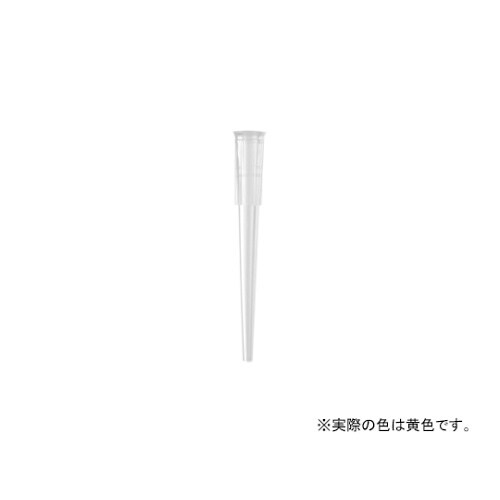 T−205−WB−C−R−Sチップ