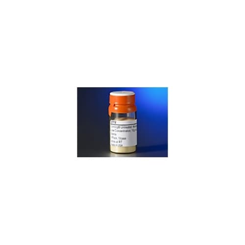 3772無処理マイクロキャリア 10g