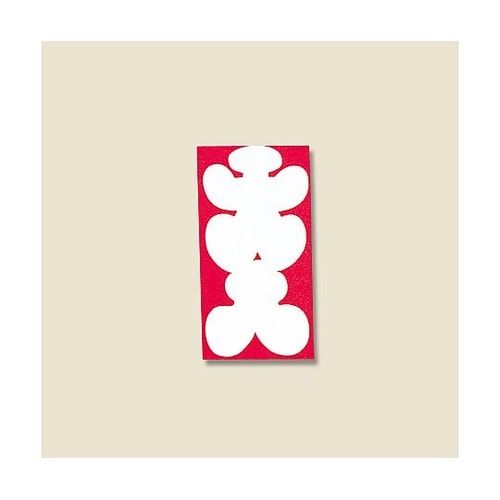 004855200のし袋大入四折フ727