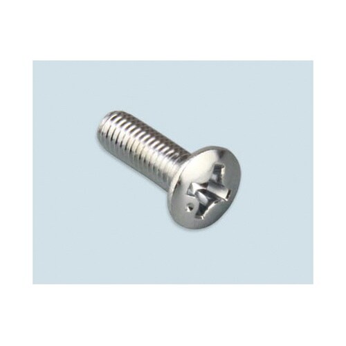TL−181−1 化粧ビスM3×10mm