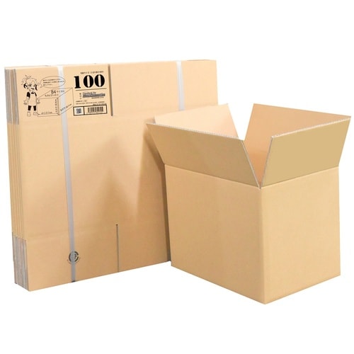 段ボール 100サイズ 20枚入 011