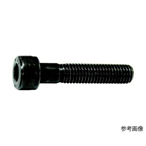 六角穴付ボルト半ねじ M16x105(1