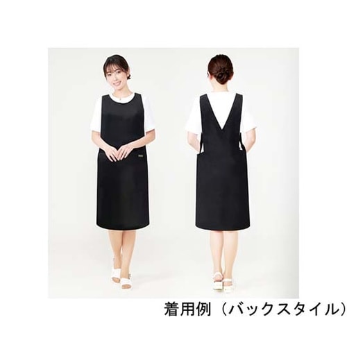 LDLエプロンL01 T101001