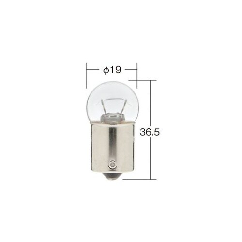 ノーマルバルブ 一般電球 定格:24V1