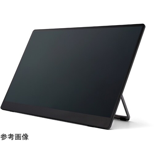 RICOH Portable Monit