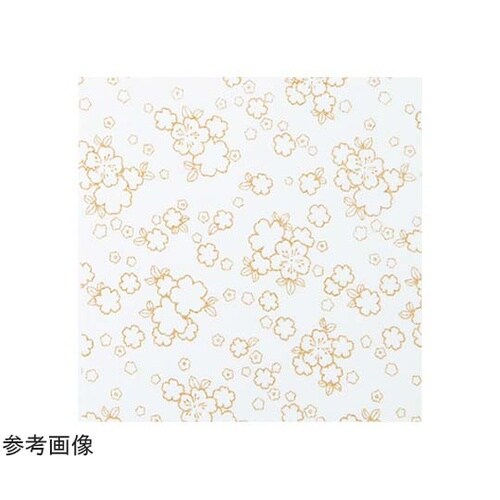 布に塗るぬりえ 花ぬりえ 姫あかり 約2